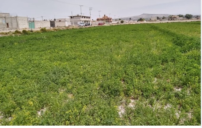 Terreno en la zona de Acolman
